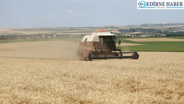 Üreticilerin buğday hasat mesaisi başladı