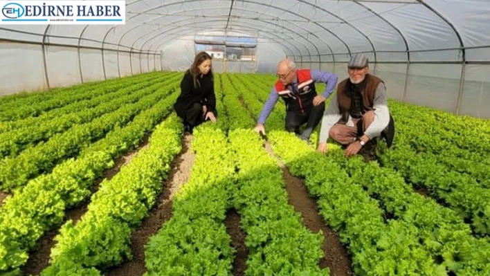 Üretim alanlarında yakından takip uzman ekipler sahada