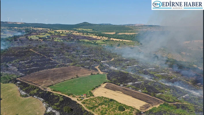 Yangında 36 dönüm tarım arazisi zarara uğradı
