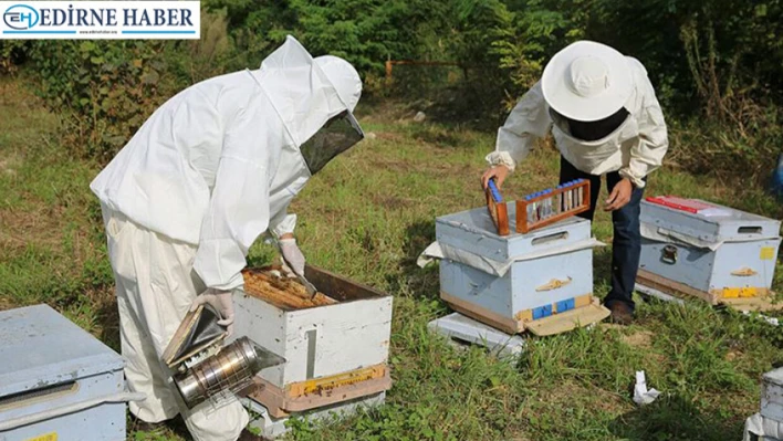 Yazın bereketi için kışta titiz bakım