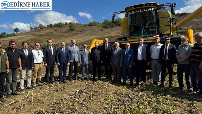 Yerli ve milli hibrit ayçiçeği hasadı