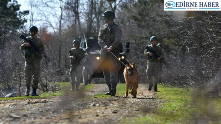 Yunanistan'a kaçarken yakalanan 2 FETÖ mensubu tutuklandı