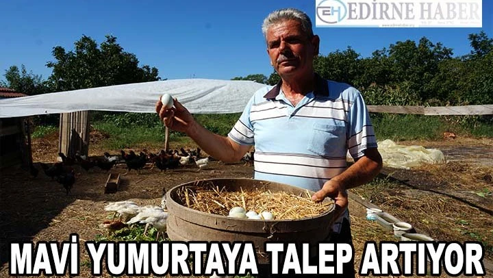 Mavi yumurtaya talep artıyor
