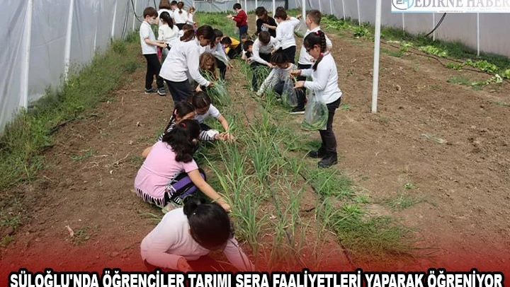 SÜLOĞLU'NDA ÖĞRENCİLER TARIMI SERA FAALİYETLERİ YAPARAK ÖĞRENİYOR
