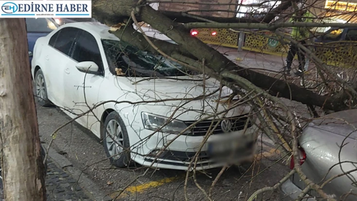 Fırtına yıktı geçti, facianın eşiğinden dönüldü
