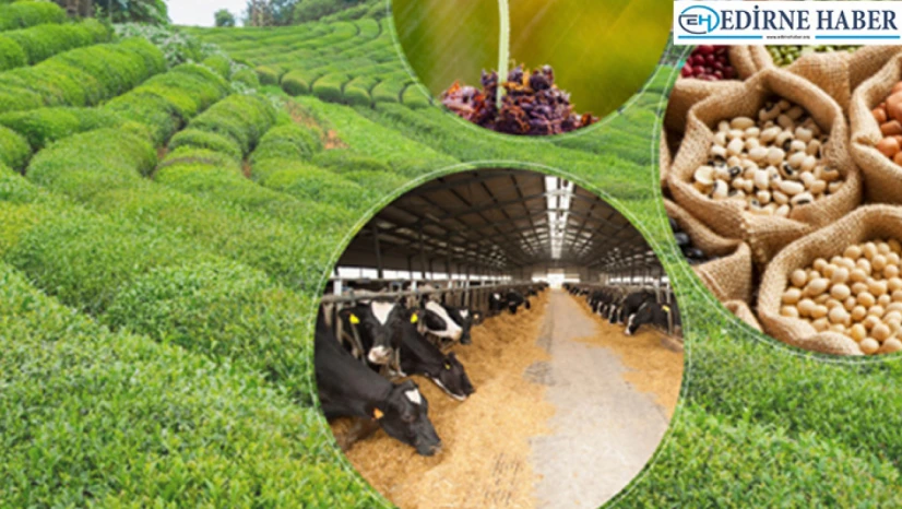 5.5 Milyar liralık destekleme ödemesi hesaplara aktarılıyor