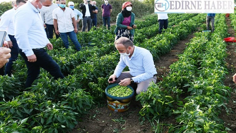 'Tarıma dayalı ekonomiyi geliştirmek adına çalışıyoruz'