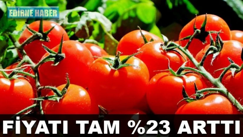 Domates rekor kırdı