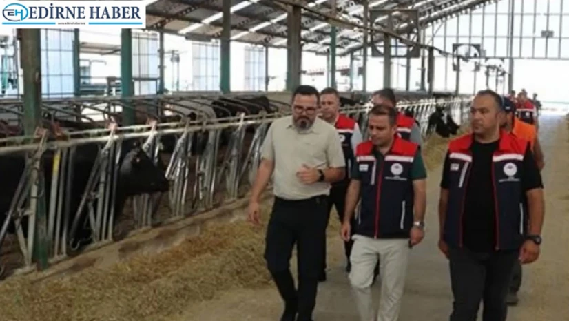 Aşılama, kayıt ve eğitim çalışmalarıyla hayvancılığa güçlü destek