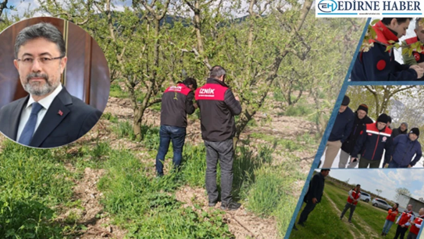 Bakanlıktan zirai don olaylarına ilişkin açıklama