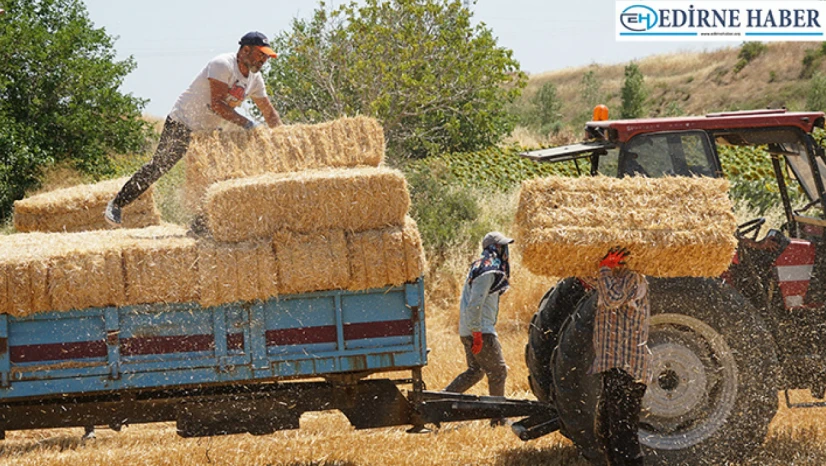 Balya işçileri kavurucu sıcakta mesai yapıyor
