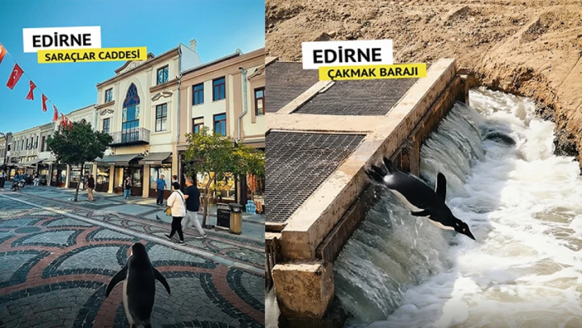 Belgin İba'dan Edirne tanıtımına katkı sağlayacak video