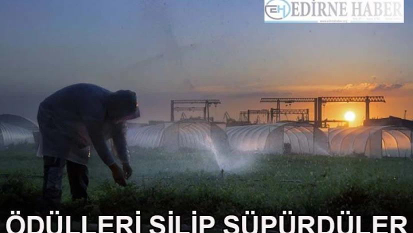 'Ödülleri Silip Süpürdüler'
