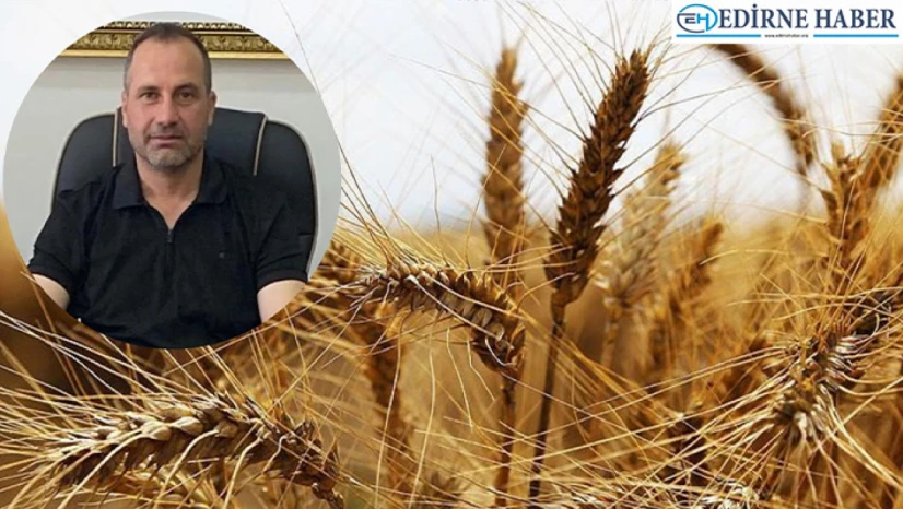 Durmaz 'Sıcak geçen kış buğdayın gelişimini öne çekti'