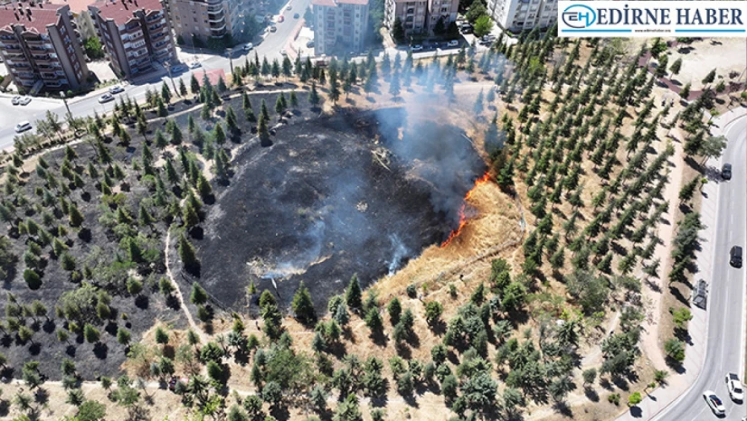 Edirne'de korkutan yangın