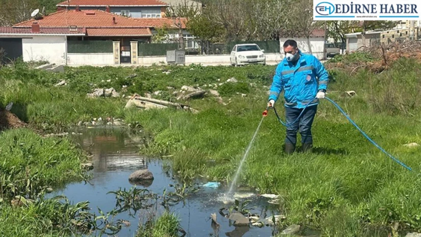 Enez'de sivrisineklere karşı ilaçlama devam ediyor