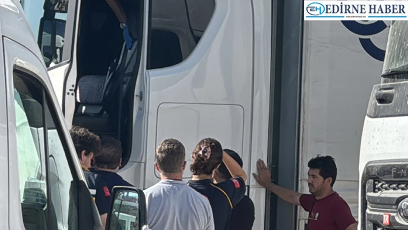 Tır sürücüsü aracında ölü bulundu