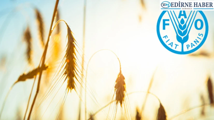 Türkiye FAO konsey üyeliğine seçildi