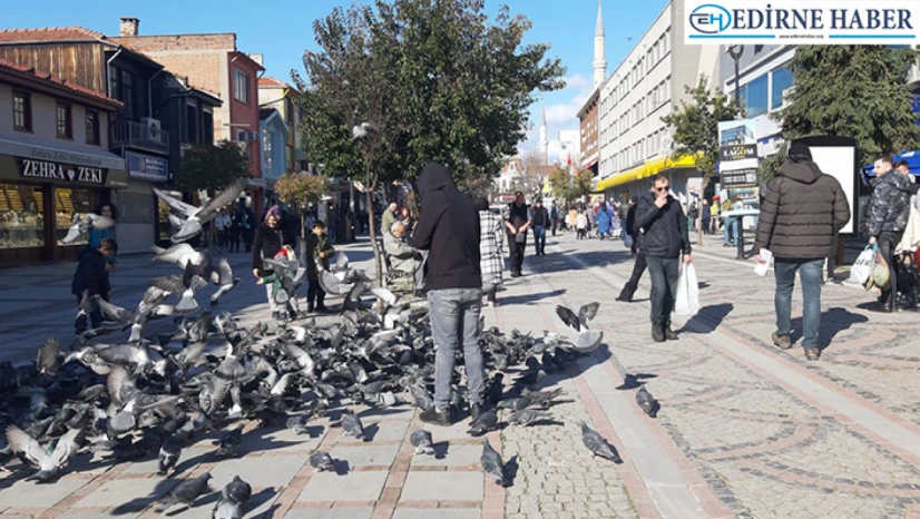 Vatandaşlar, kuşlara yem atarak güneşli havanın tadını çıkardılar