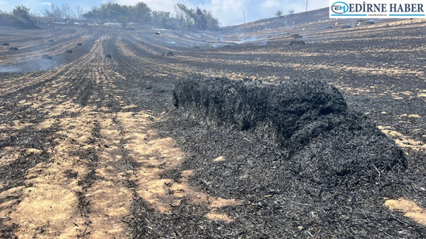 Alevler 150 dekar araziyi küle çevirdi