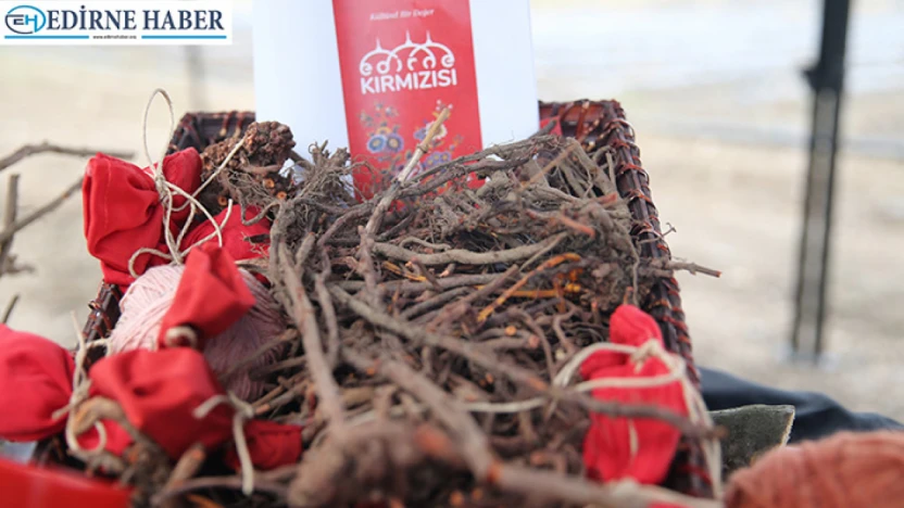 Asırlık renk ekonomiye kazandırıldı