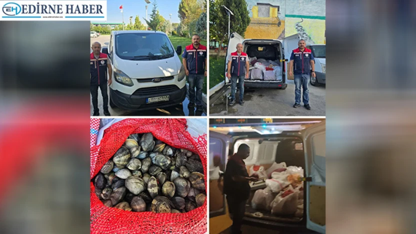 Edirne'de kaçak midye operasyonu