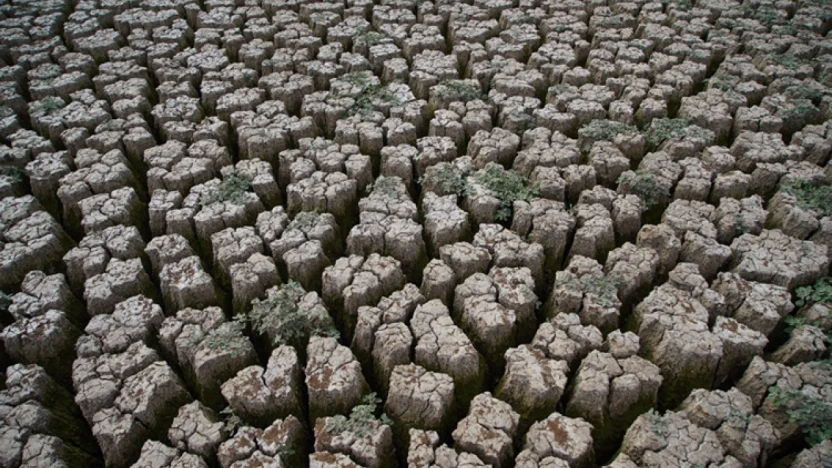 Edirne'de kuraklık riski halkı tedirgin ediyor