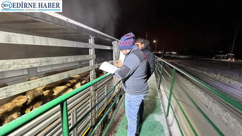 Edirne Tarım İl Müdürlüğü ekibi Erzurum'da