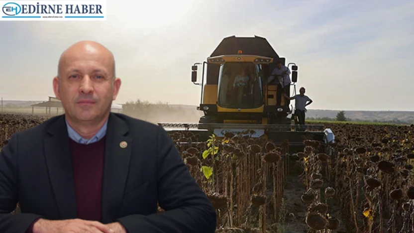 Edirne tarımı kuraklıkla mücadele ediyor
