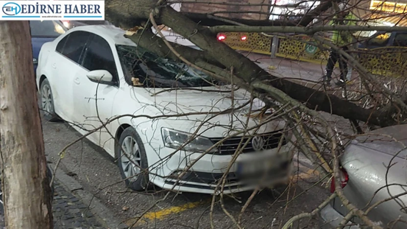 Fırtına yıktı geçti, facianın eşiğinden dönüldü