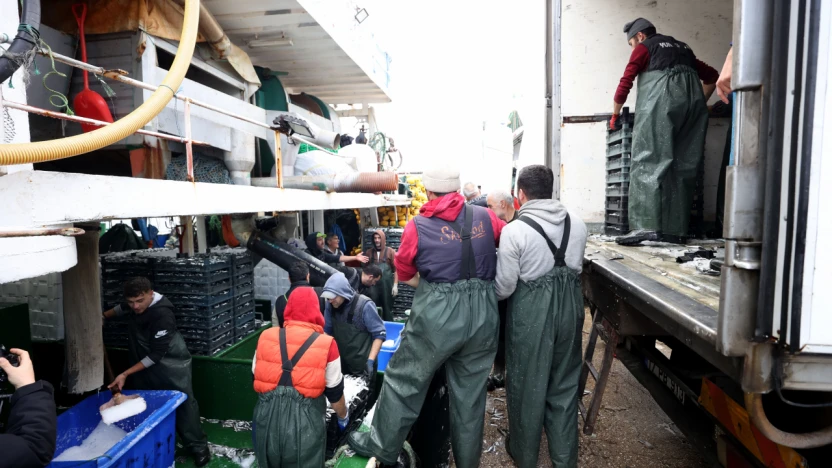 Hamsinin izini süren Karadenizli balıkçılar rotalarını İğneada'ya çevirdi