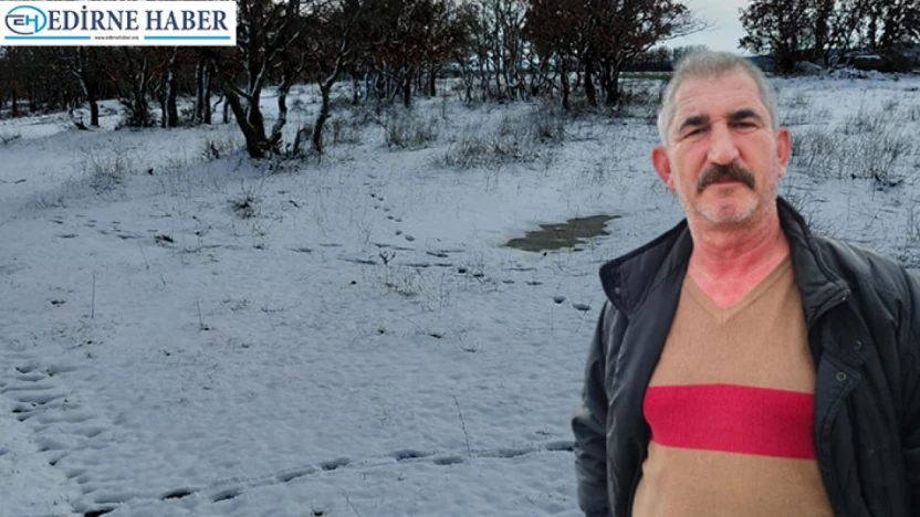 Kuraklığın ardından gelen yağışlar tarıma can suyu oldu