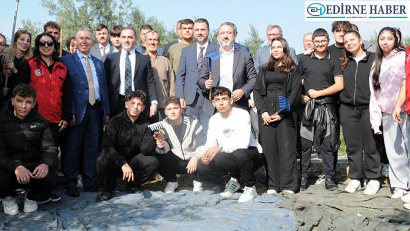 Şarköy'de zeytin hasadı coşkuyla başladı