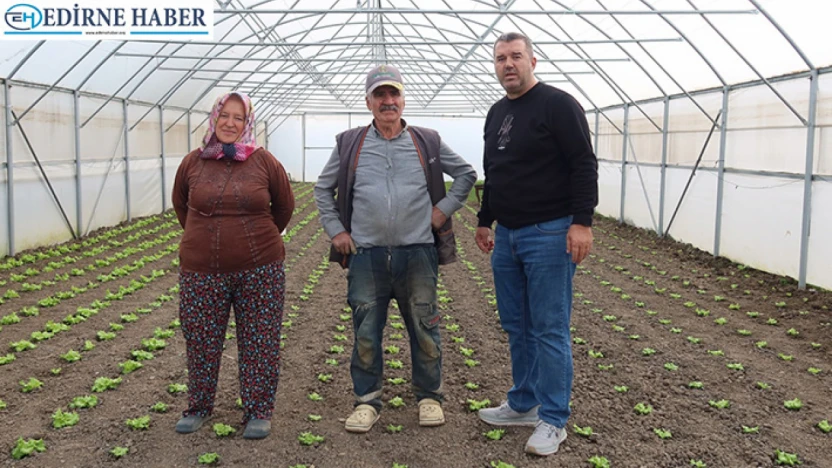 Seracılık hamlesi meyvelerini vermeye başladı