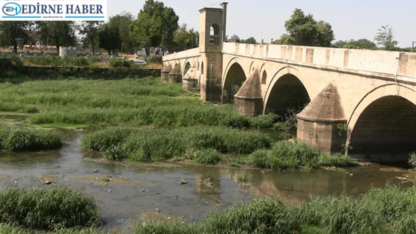 Trakya'da kuraklık alarmı: Tunca ve Meriç can çekişiyor