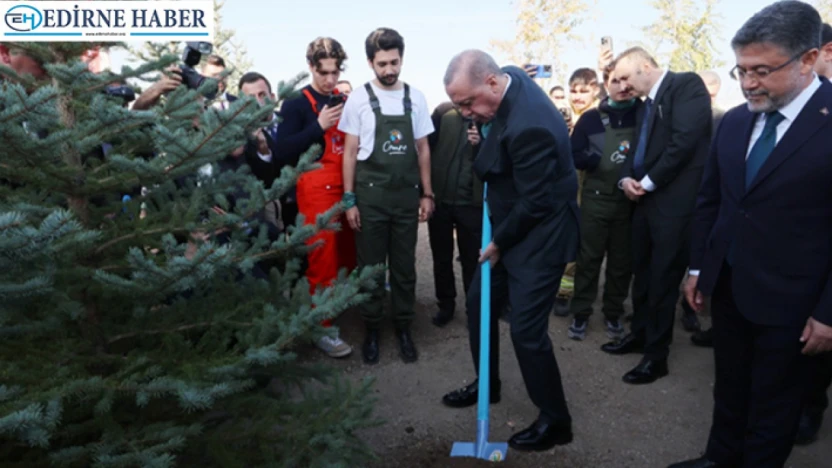 Türkiye'de yeşil seferberlik