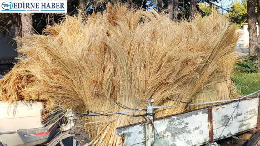 Yeni mahsul süpürge teli Borsa'da satıldı