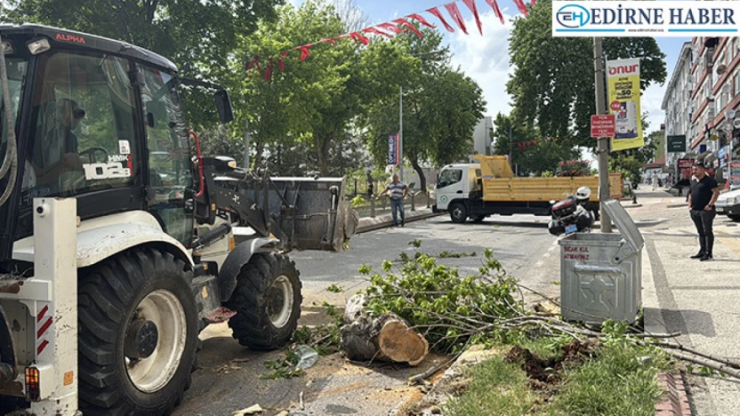 Yola devrilen ağaç trafikte aksamalara neden oldu