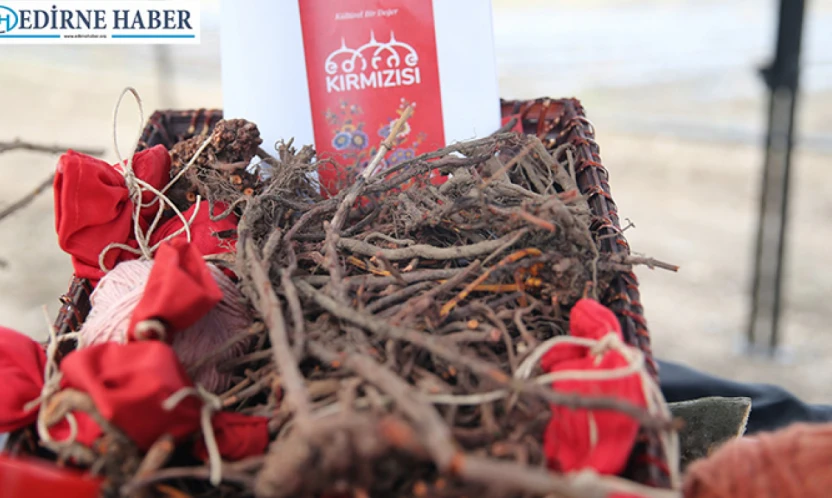 Asırlık renk ekonomiye kazandırıldı