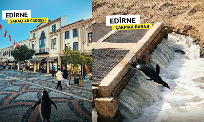 Belgin İba'dan Edirne tanıtımına katkı sağlayacak video