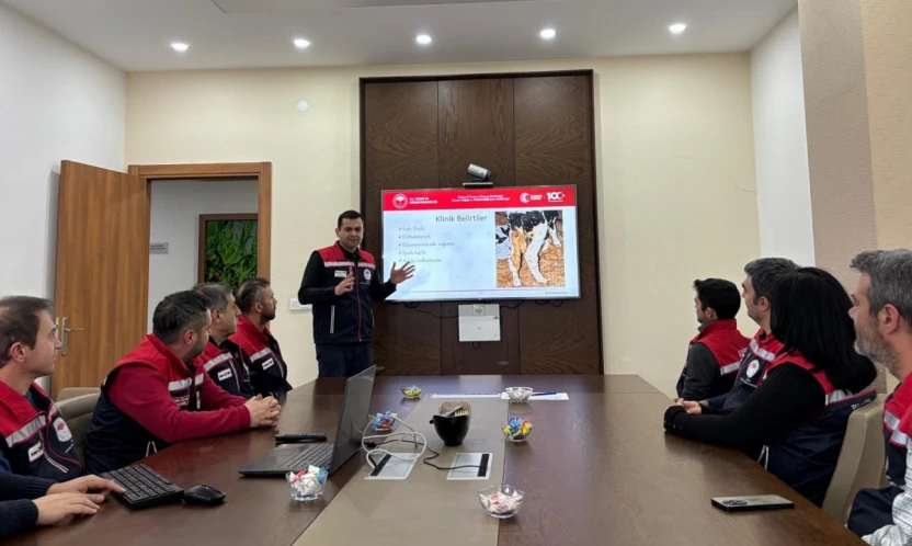 Buzağı kayıplarının önüne geçilmesi için seferberlik başlatıldı