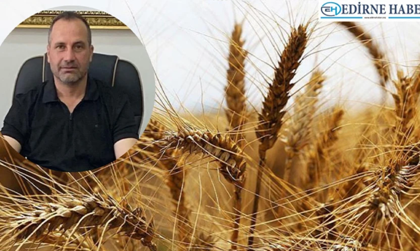 Durmaz 'Sıcak geçen kış buğdayın gelişimini öne çekti'