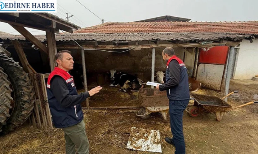 Edirne'de 2025 yılı hayvancılık işletme denetimleri tamamlandı