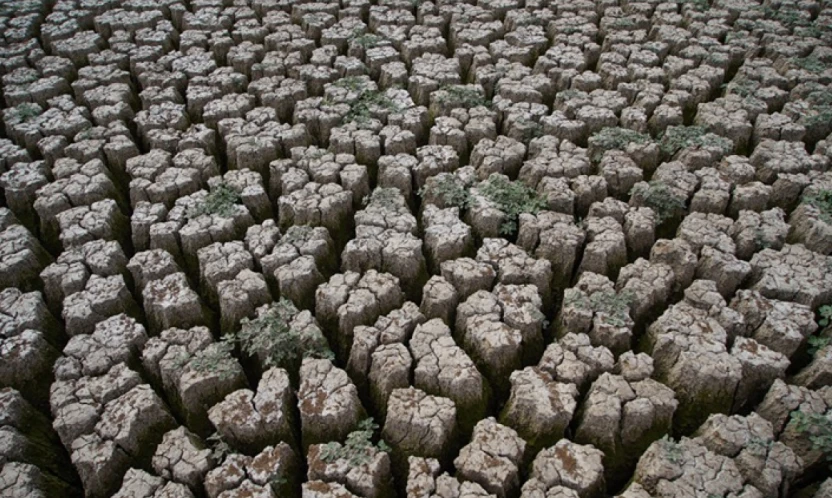 Edirne'de kuraklık riski halkı tedirgin ediyor