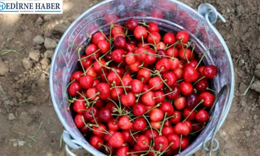 Edirne'nin gururu Çeribaşı Kirazı'na coğrafi işaret tescili