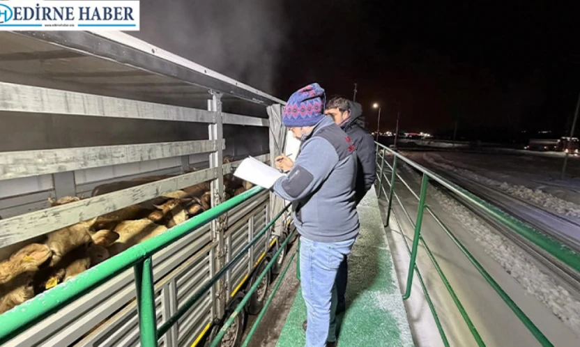 Edirne Tarım İl Müdürlüğü ekibi Erzurum'da