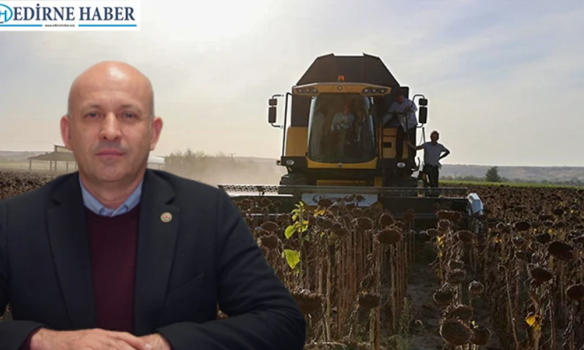 Edirne tarımı kuraklıkla mücadele ediyor