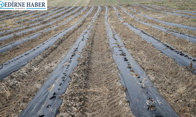 Efsane renk Edirne kırmızısı kentin ekonomik ve kültürel değerleri arasına girdi