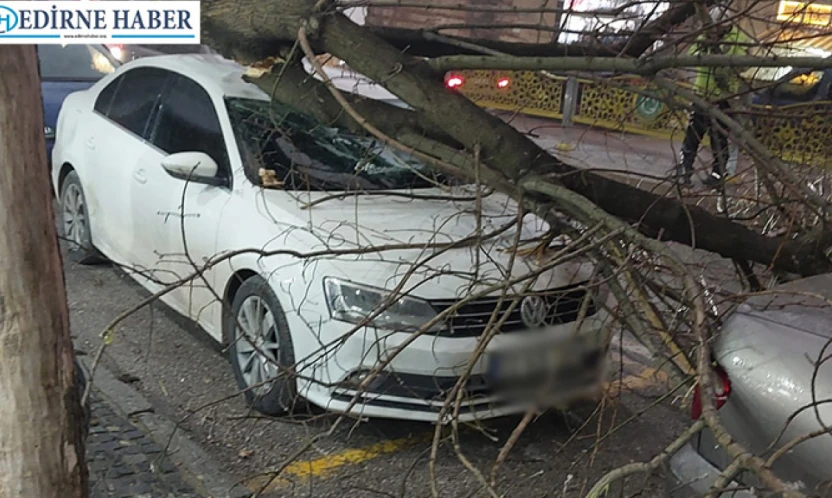 Fırtına yıktı geçti, facianın eşiğinden dönüldü