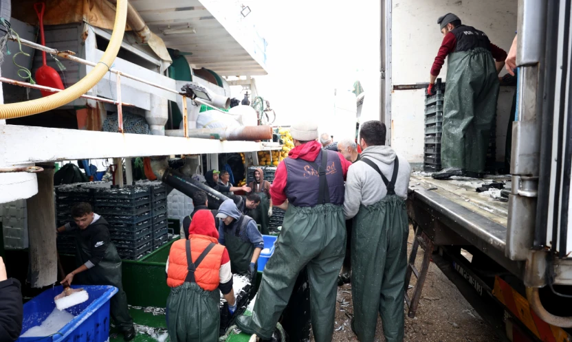 Hamsinin izini süren Karadenizli balıkçılar rotalarını İğneada'ya çevirdi